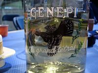 GENEPI